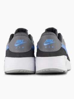 Grijze Air Max