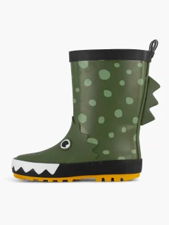 Groene Regenlaars Krokodil