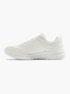 Witte Sole Provider - Brief History