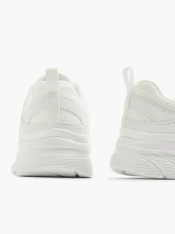 Witte Sole Provider - Brief History